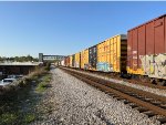 TBOX 641753
